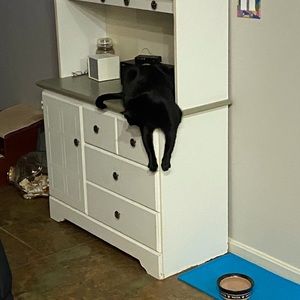 Meet your Posher, Ricky